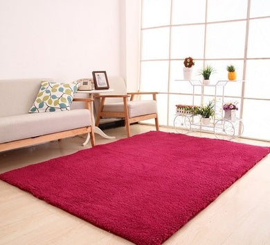 Fluffy Area Rug